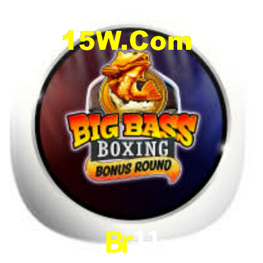 Br11 App