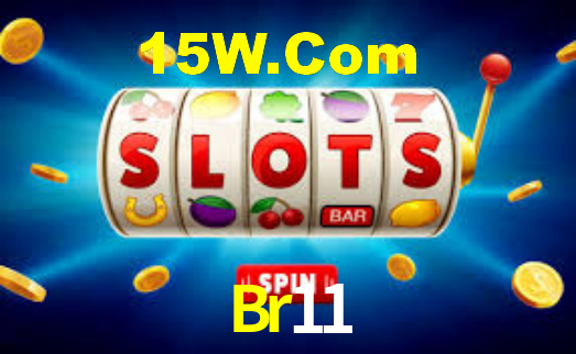 Premium Interface Br11