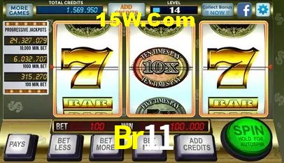 Platform Technology Br11